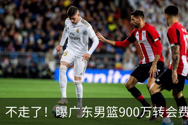 不走了！曝广东男篮900万转会费签下昔日状元内线，杜锋拒绝摆烂